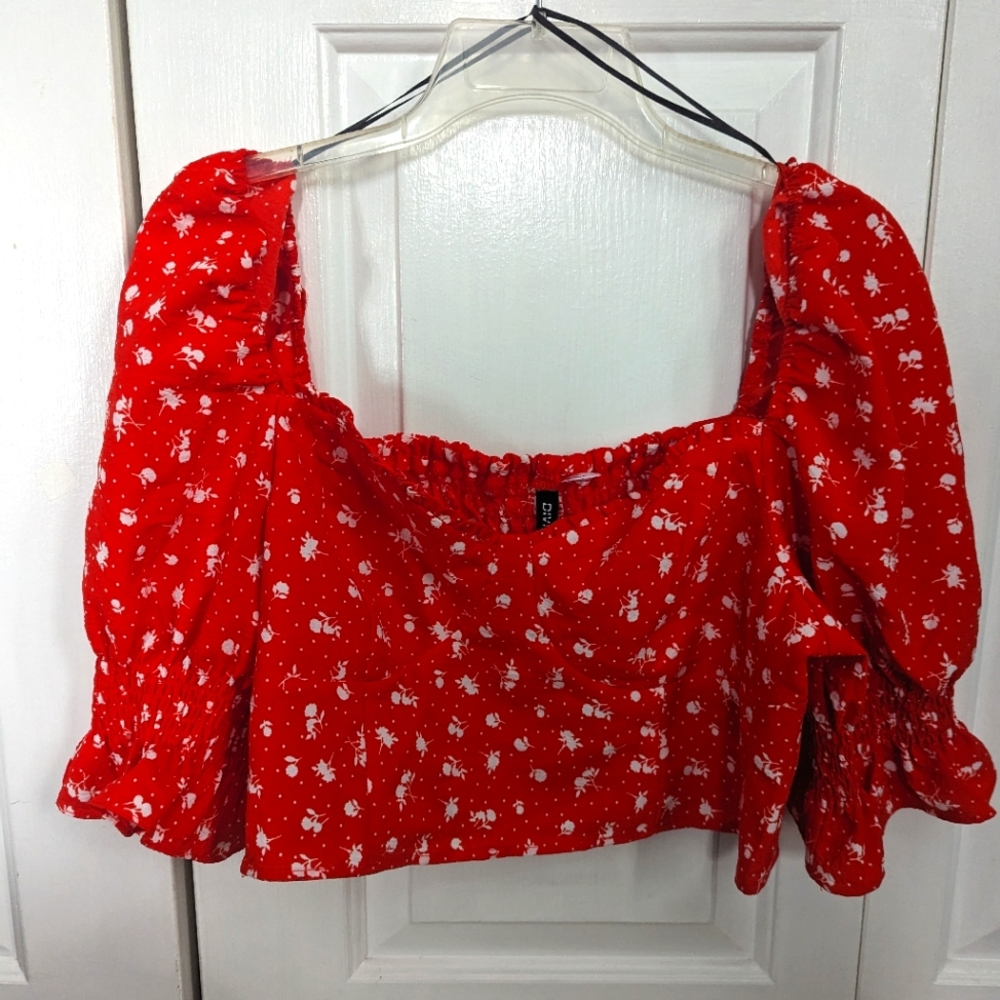 Divided Red cropped Blouse